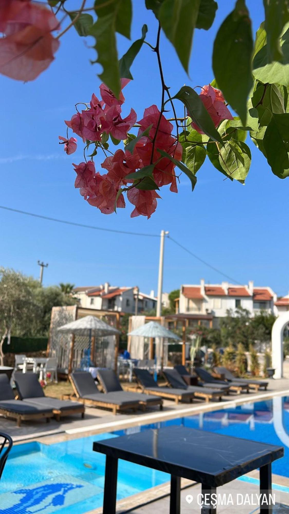 Belong Butik Otel Cesme Ngoại thất bức ảnh