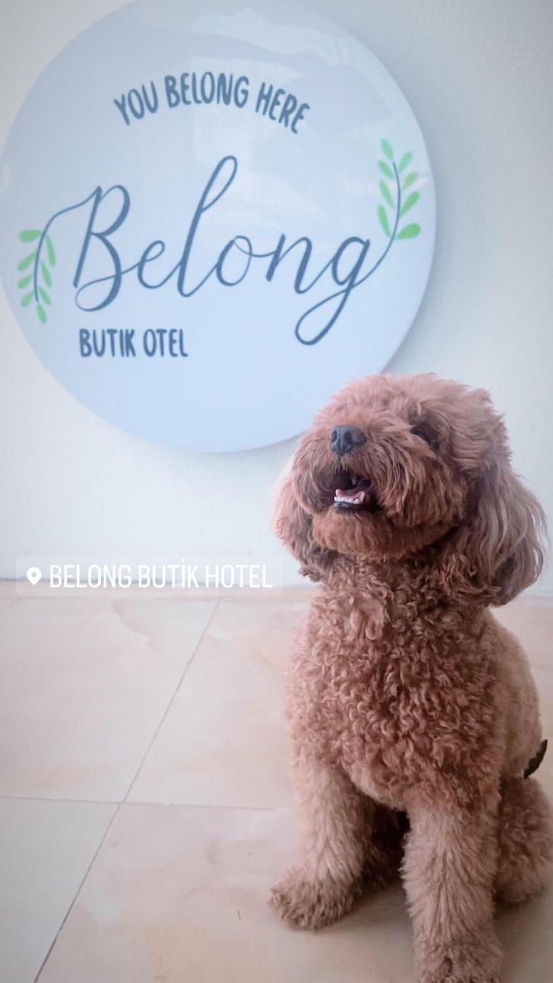 Belong Butik Otel Cesme Ngoại thất bức ảnh